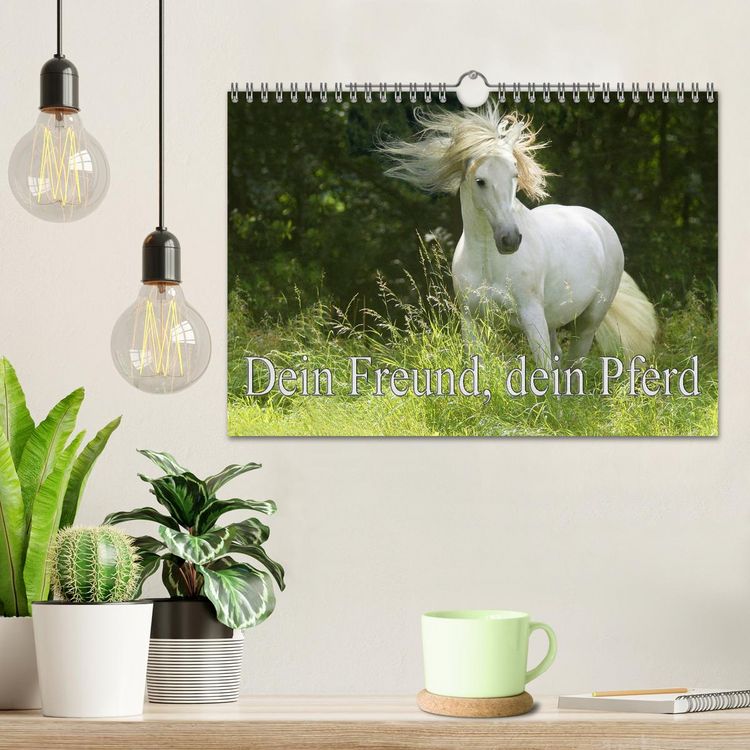 Produktbild: Dein Freund, dein Pferd (Wandkalender 2026 DIN A4 quer), CALVENDO Monatskalender