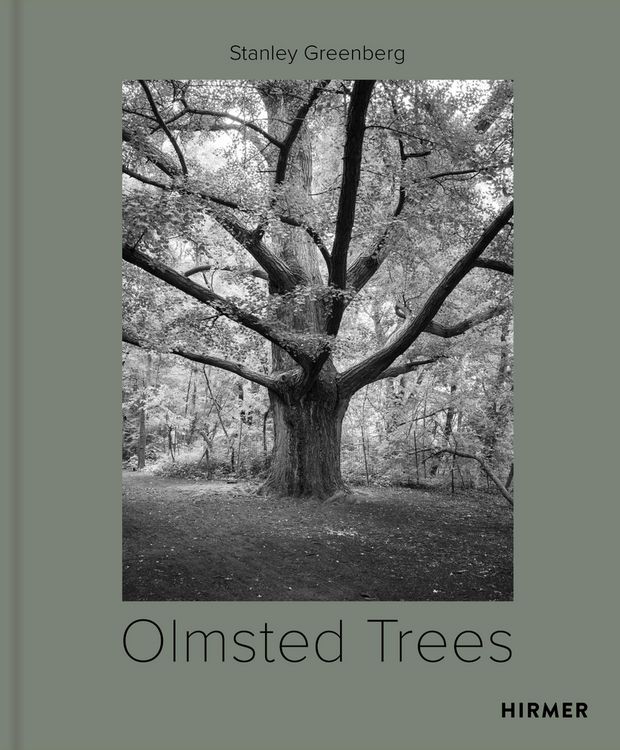 Produktbild: Olmsted Trees