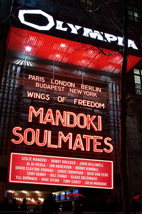 Produktbild: Mandoki Soulmates - Wings of Freedom [2 BRs]