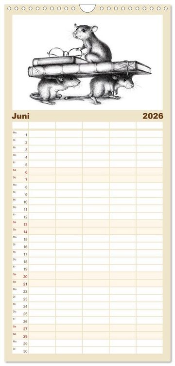 Produktbild: Familienplaner 2026 - owls & friends 2026 mit 5 Spalten (Wandkalender, 21 x 45 cm) CALVENDO