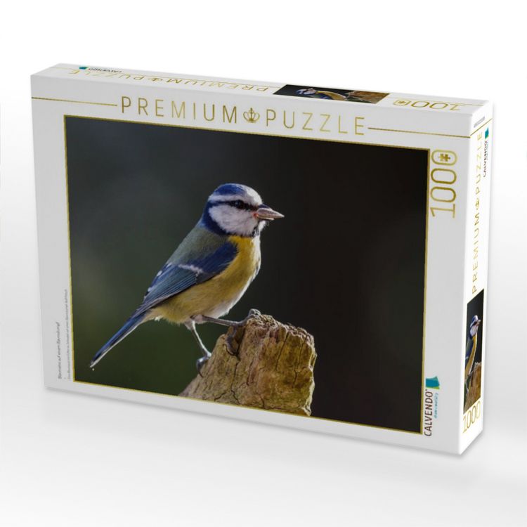 Produktbild: CALVENDO Puzzle Blaumeise auf einem Baumstumpf | 1000 Teile Lege-Gr&ouml;&szlig;e 64x48cm Foto-Puzzle f&uuml;r gl&uuml;ckliche Stunden