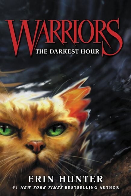 Produktbild: The Darkest Hour / Warriors Band 6