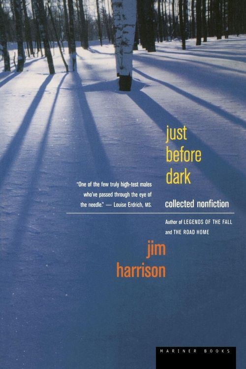 Produktbild: Just Before Dark