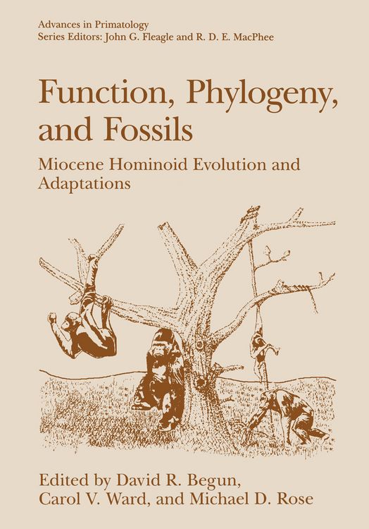 Produktbild: Function, Phylogeny, and Fossils