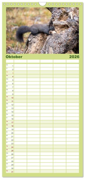 Produktbild: Familienplaner 2026 - Eichh&ouml;rnchenliebe mit 5 Spalten (Wandkalender, 21 x 45 cm) CALVENDO