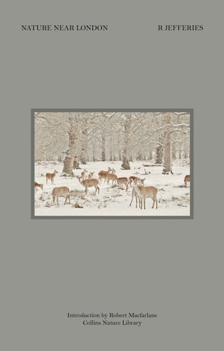 Produktbild: Jefferies, R: Nature Near London