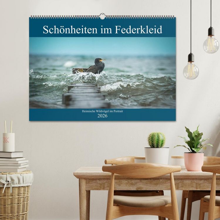 Produktbild: Sch&ouml;nheiten im Federkleid - Heimische Wildv&ouml;gel im Portrait (Wandkalender 2026 DIN A2 quer), CALVENDO Monatskalender