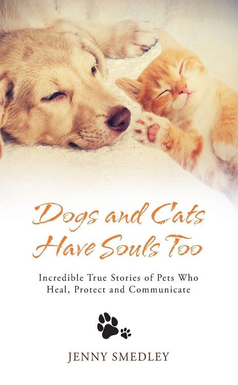 Produktbild: Dogs and Cats Have Souls Too