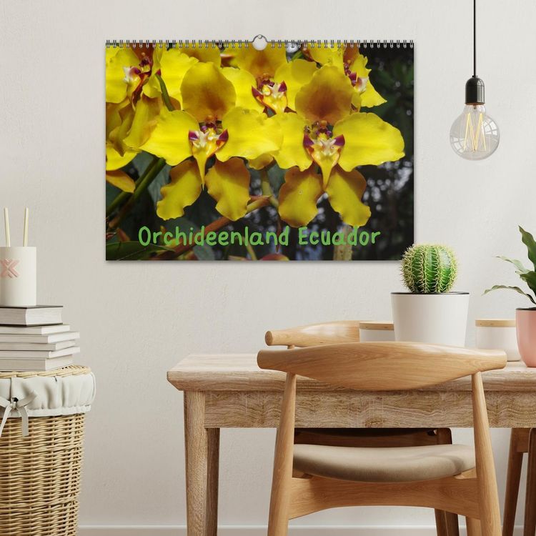 Produktbild: Orchideenland Ecuador (Wandkalender 2026 DIN A3 quer), CALVENDO Monatskalender