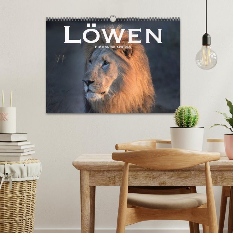 Produktbild: L&ouml;wen. Die K&ouml;nige Afrikas (Wandkalender 2026 DIN A3 quer), CALVENDO Monatskalender