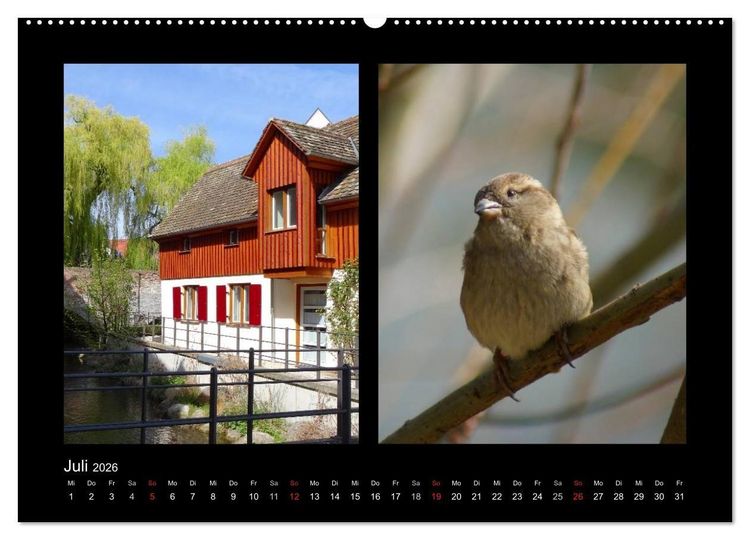 Produktbild: Ulmer Spatzen (Wandkalender 2026 DIN A2 quer), CALVENDO Monatskalender