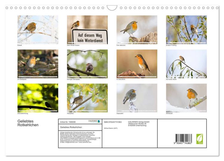 Produktbild: Geliebtes Rotkehlchen (Wandkalender 2026 DIN A3 quer), CALVENDO Monatskalender