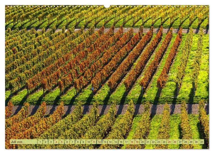 Produktbild: Farbenpr&auml;chtige Weinberge (hochwertiger Premium Wandkalender 2026 DIN A2 quer), Kunstdruck in Hochglanz