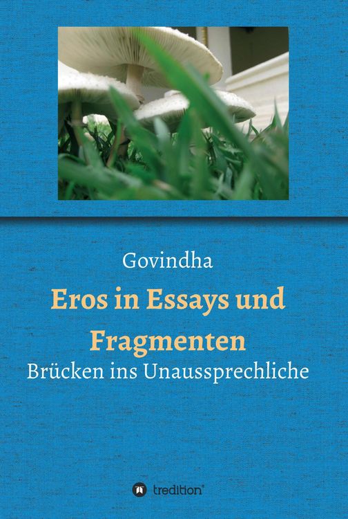 Produktbild: Eros in Essays und Fragmenten