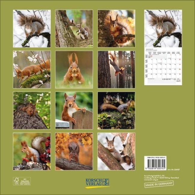 Produktbild: Eichh&ouml;rnchen 2027