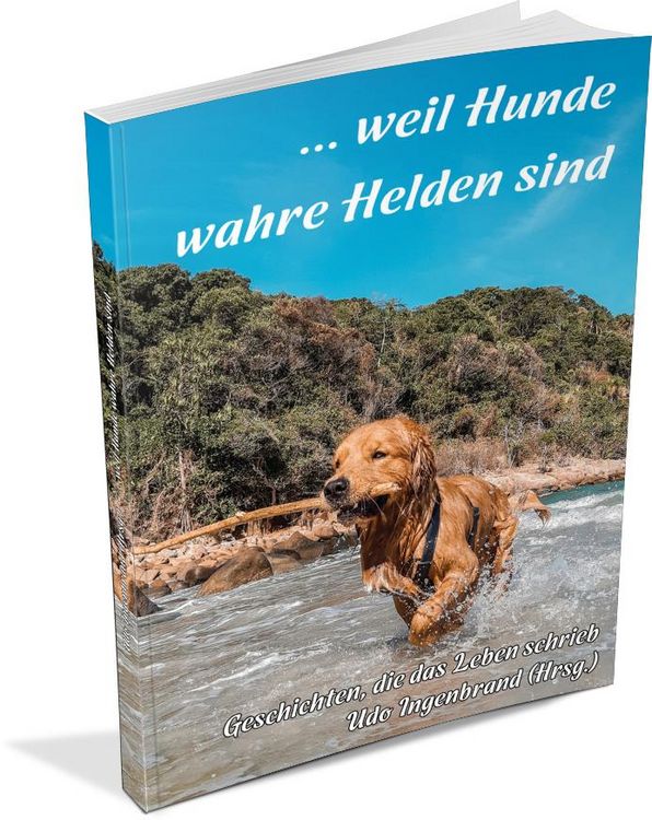 Produktbild: ... weil Hunde wahre Helden sind