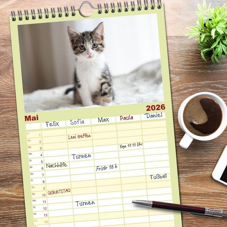 Produktbild: Familienplaner 2026 - Kitten auf Entdeckungsreise mit 5 Spalten (Wandkalender, 21 x 45 cm) CALVENDO