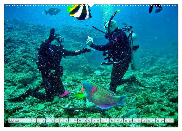 Produktbild: Tauchen - Abenteuer unter Wasser (hochwertiger Premium Wandkalender 2026 DIN A2 quer), Kunstdruck in Hochglanz