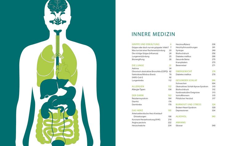Produktbild: Das gro&szlig;e Gesundheitsbuch &ndash; Innere Medizin