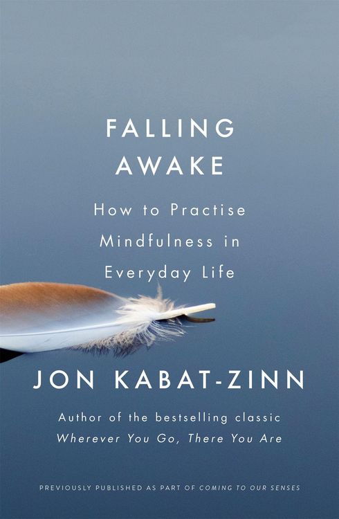 Produktbild: Falling Awake