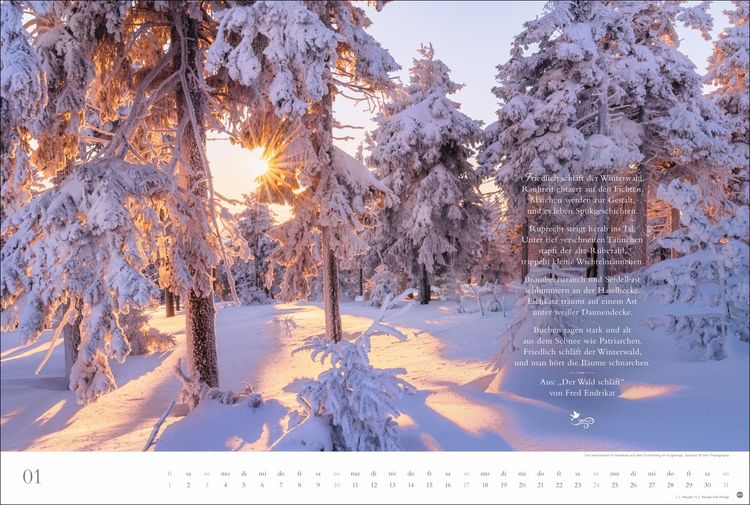 Produktbild: Der deutsche Wald - Ein literarischer Spaziergang Kalender 2027 - Ein literarischer Spaziergang