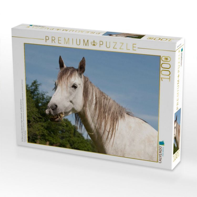 Produktbild: CALVENDO Puzzle Ein Motiv aus dem Kalender Lustiger Schimmel - ein Pferd mit Humor | 1000 Teile Lege-Gr&ouml;&szlig;e 64x48cm Foto-Puzzle f&uuml;r gl&uuml;ckliche Stunden