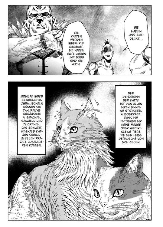 Produktbild: Night of the Living Cat 03 - Cat Max