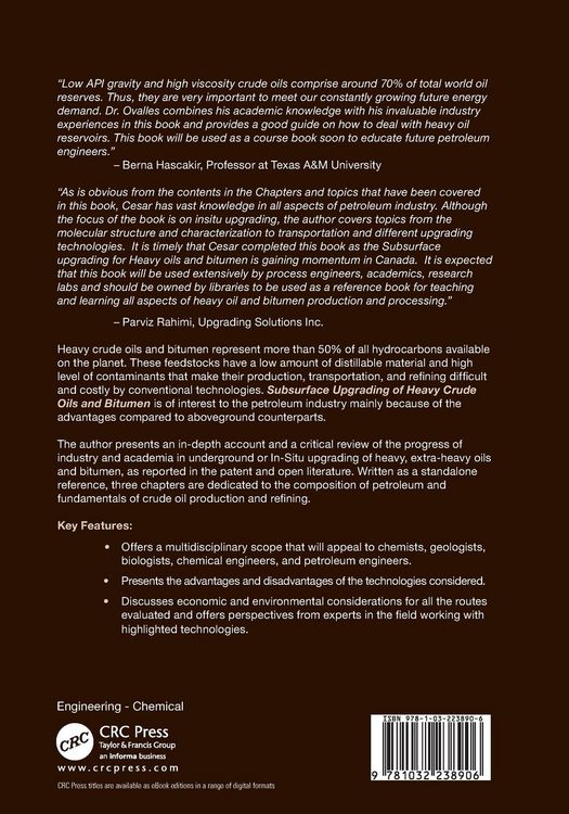 Produktbild: Subsurface Upgrading of Heavy Crude Oils and Bitumen
