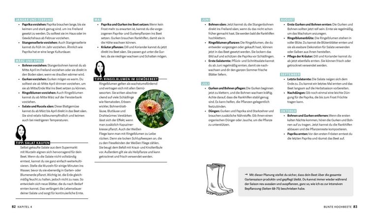 Produktbild: Bunte Beete &ndash; Einfach g&auml;rtnern mit intensiver Bepflanzung in Hochbeet und Freiland