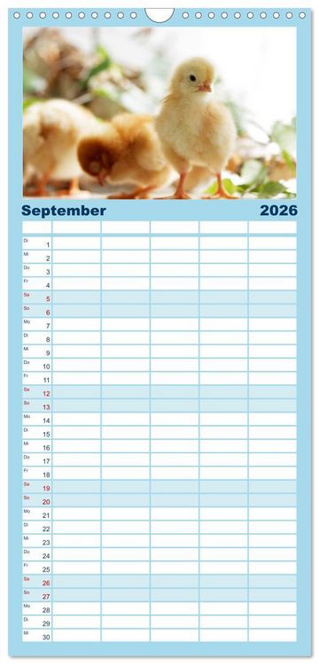 Produktbild: Familienplaner 2026 - K&uuml;ken in der Kinderstube mit 5 Spalten (Wandkalender, 21 x 45 cm) CALVENDO