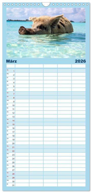 Produktbild: Familienplaner 2026 - Bahamas - Paradiesische Str&auml;nde. mit 5 Spalten (Wandkalender, 21 x 45 cm) CALVENDO
