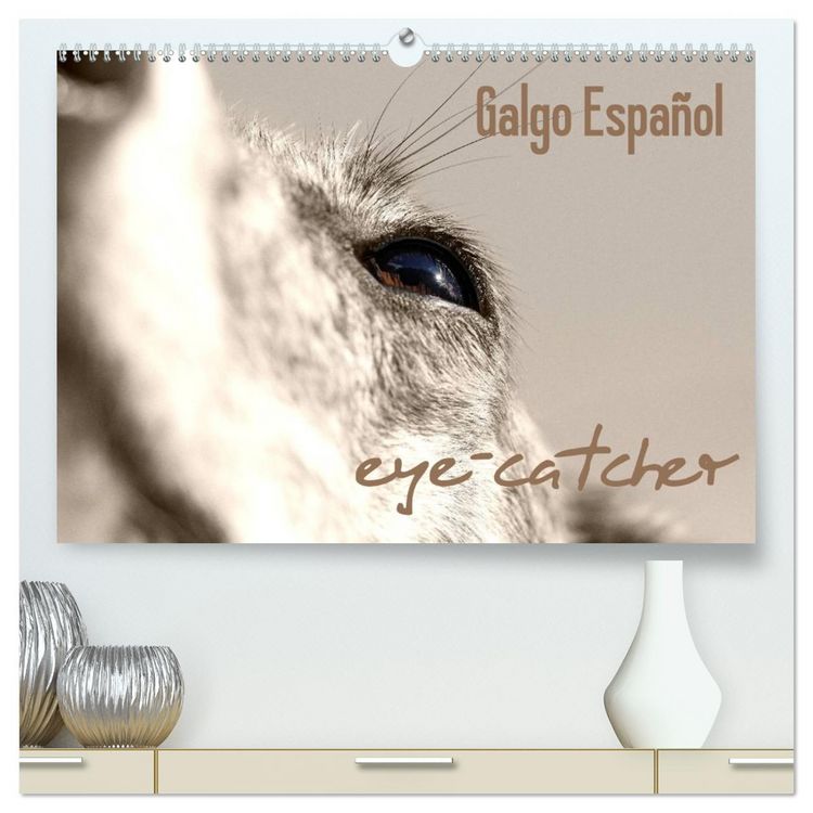 Produktbild: Galgo eye-catcher (hochwertiger Premium Wandkalender 2026 DIN A2 quer), Kunstdruck in Hochglanz