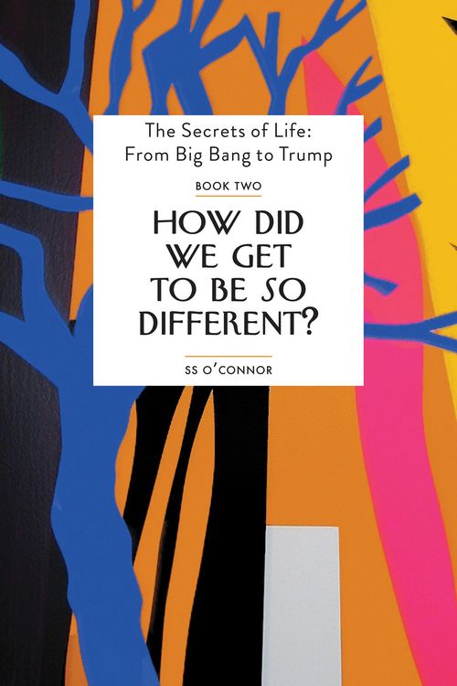 Produktbild: How Did We Get To Be So Different?