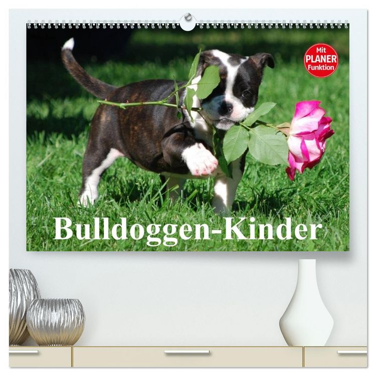 Produktbild: Bulldoggen-Kinder (hochwertiger Premium Wandkalender 2026 DIN A2 quer), Kunstdruck in Hochglanz