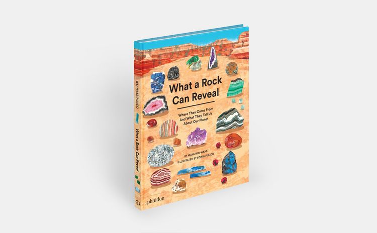 Produktbild: What a Rock Can Reveal