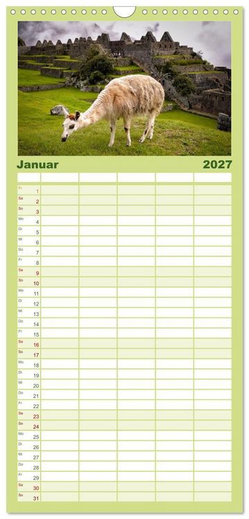 Produktbild: Familienplaner 2027 - Unter Lamas und Alpakas mit 5 Spalten (Wandkalender, 21 x 45 cm) CALVENDO