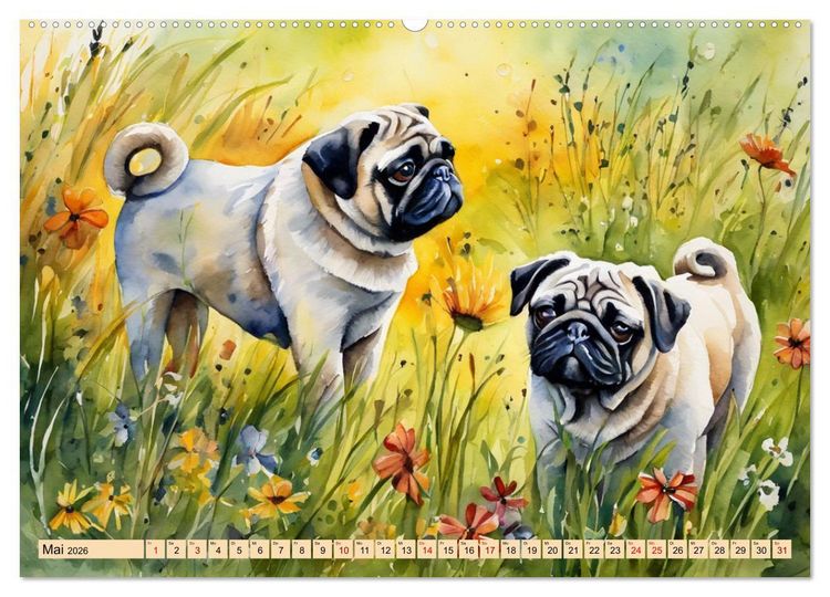 Produktbild: Knuffige M&ouml;pse (Wandkalender 2026 DIN A2 quer), CALVENDO Monatskalender