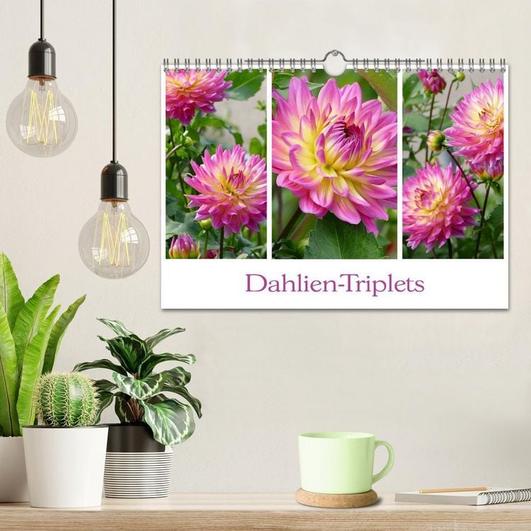 Produktbild: Dahlien-Triplets (Wandkalender 2026 DIN A4 quer), CALVENDO Monatskalender