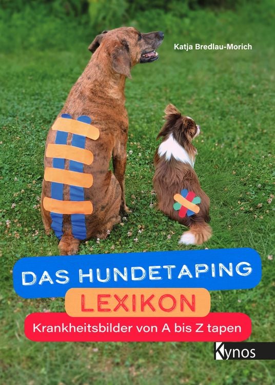 Produktbild: Das Hundetaping Lexikon