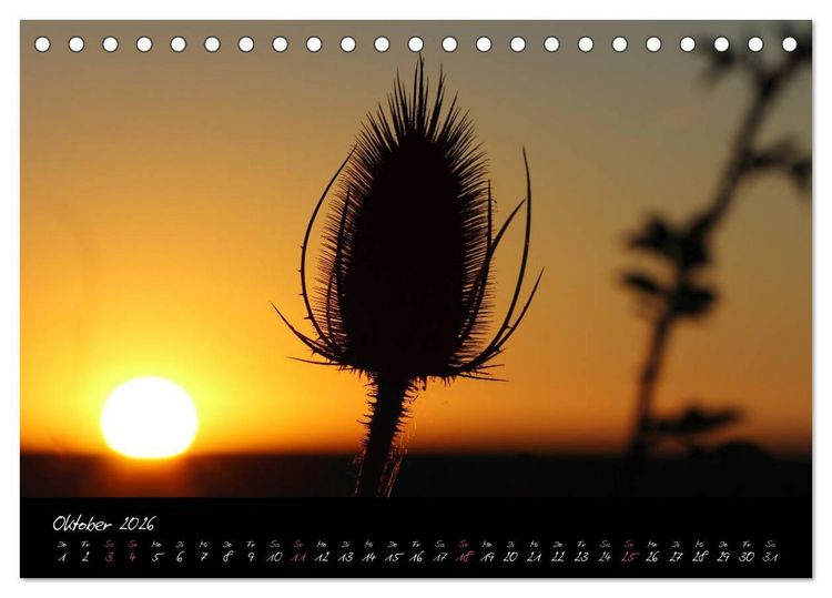 Produktbild: Zeit der Natur - Ein Augenblick zur Ewigkeit (Tischkalender 2026 DIN A5 quer), CALVENDO Monatskalender