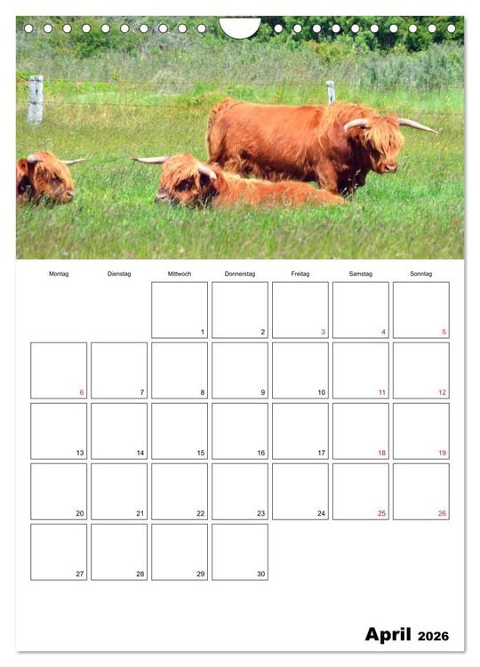 Produktbild: Langeoog - eine Trauminsel (Wandkalender 2026 DIN A4 hoch), CALVENDO Monatskalender