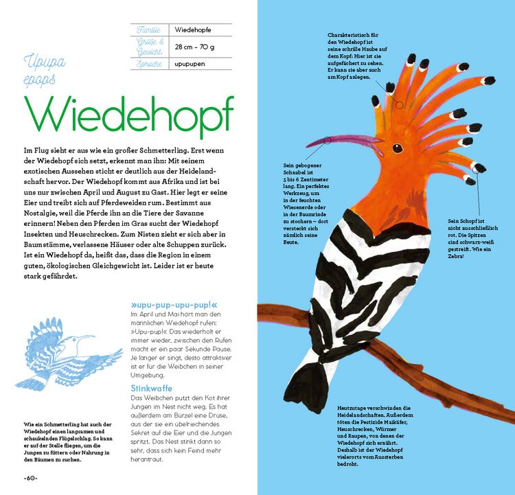 Produktbild: Magie der V&ouml;gel
