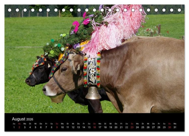 Produktbild: Almabtrieb in Tirol (Tischkalender 2026 DIN A5 quer), CALVENDO Monatskalender