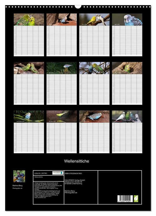 Produktbild: Wellensittiche (Wandkalender 2027 DIN A2 hoch), CALVENDO Monatskalender