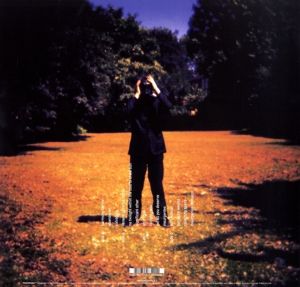 Produktbild: Insurgentes (Gatefold Black 2LP)