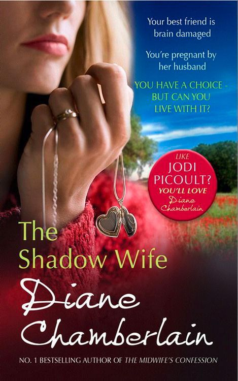 Produktbild: The Shadow Wife