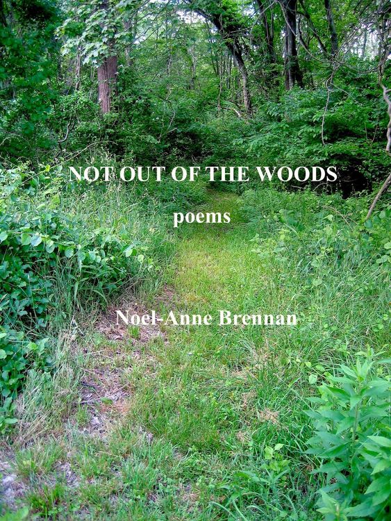 Produktbild: Not Out of the Woods: Poems