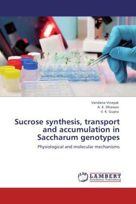 Produktbild: Vinayak, V: Sucrose synthesis, transport and accumulation in