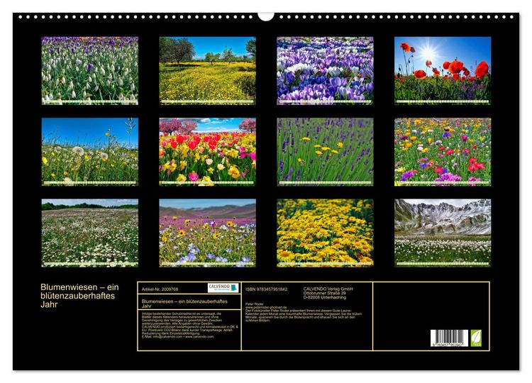 Produktbild: Blumenwiesen &ndash; ein bl&uuml;tenzauberhaftes Jahr (Wandkalender 2026 DIN A2 quer), CALVENDO Monatskalender