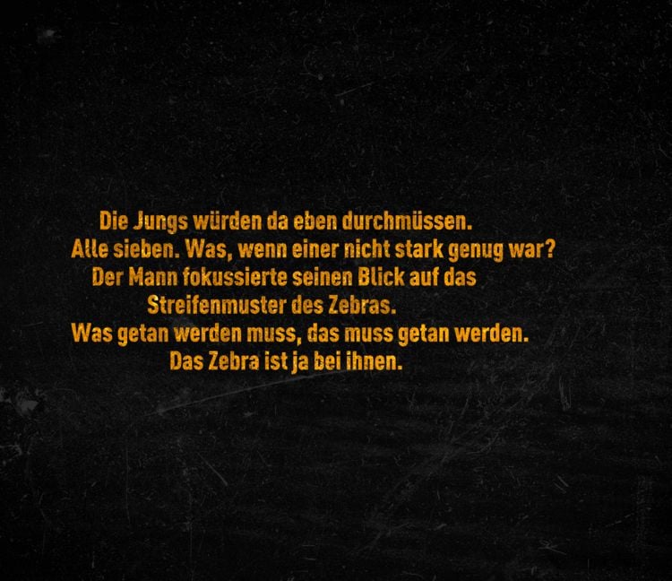 Produktbild: Im Auge des Zebras